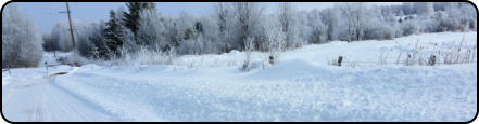 Town of Worcester in Winter